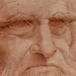 Leonardo da Vinci, caccia al Dna per ricostruire chi era 2
