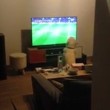 Cane guarda la partita alla tv...attaccato allo schermo
