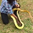 Corre verso siepe e afferra serpente lungo 1,8 metri8