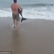Delfino spiaggiato, ragazzo lo salva VIDEO e FOTO virali1