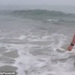 Delfino spiaggiato, ragazzo lo salva VIDEO e FOTO virali55