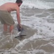 Delfino spiaggiato, ragazzo lo salva VIDEO e FOTO virali66