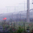 YOUTUBE Belgio, scontro tra treni: diversi morti e feriti 5