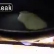 Soldato siriano cucina uova usando bomba al fosforo bianco6