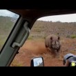 Rinoceronte nero non ama essere fotografato e punta l'auto 5