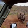 Rinoceronte nero non ama essere fotografato e punta l'auto 2