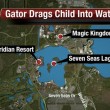 Disney World Orlando: alligatore uccide bimbo di 2 anni 4