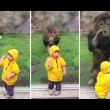 YOUTUBE Leone salta contro bimbo allo zoo ma...6
