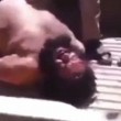 VIDEO YOUTUBE Isis, catturato boia Bulldozer in Siria 2VIDEO YOUTUBE Isis, catturato boia Bulldozer in Siria