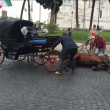 Roma "botticelle", cavallo stramazza al suolo a Piazza Venezia FOTO