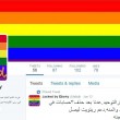 Isis, Anonymous hackera profili Twitter con scritte pro-gay FOTO 2