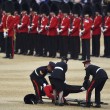 Londra, Guardia sviene per il caldo durante parata per la regina2