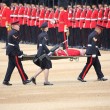 Londra, Guardia sviene per il caldo durante parata per la regina 4