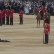 Londra, Guardia sviene per il caldo durante parata per la regina 5