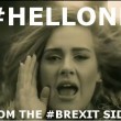 Brexit, "Hellone" alla Ue: il tormentone sul web FOTO 2