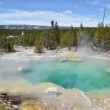 Yellowstone, ragazzo cade in sorgente idrotermale: muore disciolto in acqua 5