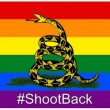 Pink Pistols, dopo Orlando pistole ai gay che vogliono difendersi01