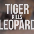 VIDEO YOUTUBE Tigre del Bengala contro leopardo: chi vince?