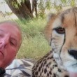 Cucciolo ghepardo incontra di nuovo il volontario: coccole e abbracci9
