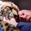 Cucciolo ghepardo incontra di nuovo il volontario: coccole e abbracci