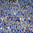 Francia Islanda qurto finale Europei109