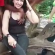 Orango palpa turista allo zoo di Bangkok7