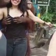 Orango palpa turista allo zoo di Bangkok5