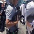 Cane in auto sotto al sole: polizia si ingegna per liberarlo3
