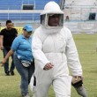 Vespe invadono campo e spalti: partita sospesa in Ecuador5