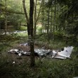 Slovenia: FOTO aereo precipitato con quattro persone6