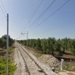 Corato-Andria: scontro fra treni, vittime e diversi feriti3