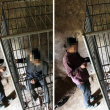 Cina, figlio schizofrenico: genitori lo chiudono in una gabbia FOTO 2