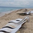 VIDEO YOUTUBE Coccodrillo passeggia sulla spiaggia: i turisti... 3