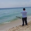 VIDEO YOUTUBE Coccodrillo passeggia sulla spiaggia: i turisti... 5
