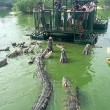 Coccodrilli circondano turisti su zattera2