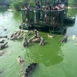 Coccodrilli circondano turisti su zattera4