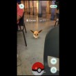 Pokémon Go mania: tutti a caccia, anche in autostrada...FOTO 2