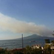 Vesuvio, fumo e fiamme nel Parco: incendio doloso domato