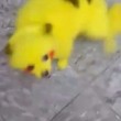 Cane dipinto di giallo come un Pokemon