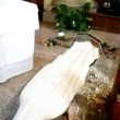 Como, raid in chiesa: mani mozzate statua Vergine3