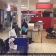 Gabbiano vola tra gli scaffali: supermercato viene fatto sfollare5
