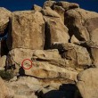 Illusione ottica: riesci a trovare il bambino tra le rocce