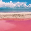 Laguna rosa dello Yucatan è realtà: su Instagram3