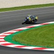 Moto Gp Austria: warm up, Iannone ancora il più veloce2