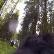 YOUTUBE Cane con GoPro "scopre" Bigfoot nel bosco