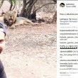 Selfie con i leoni, multato giocatore di cricket indiano3