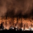 YOUTUBE Marsiglia, incendio distrugge 2700 ettari nell'entroterra6