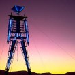 YOUTUBE Burning Man, il festival dove puoi fare quello che vuoi FOTO 5