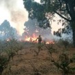 Canarie in fiamme: bruciato isola La Palma 3