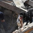 Terremoto Centro Italia: labrador Leo e i colleghi eroi a quattro zampe